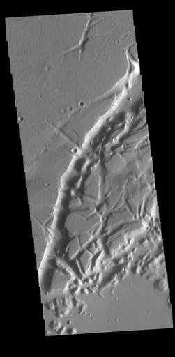 Nilus Chaos
