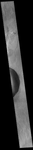 Pavonis Mons