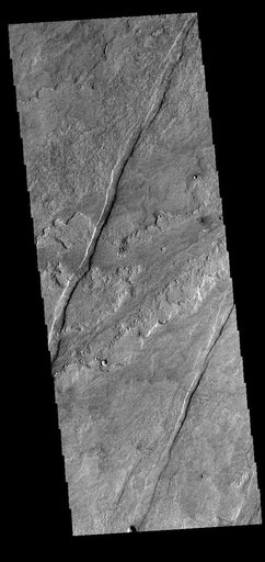 Daedalia Planum