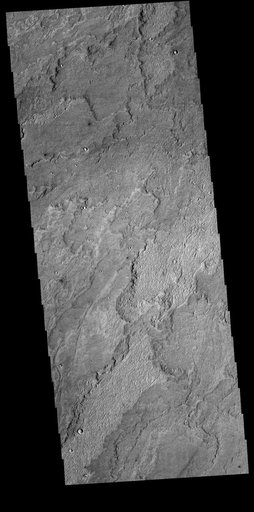 Daedalia Planum