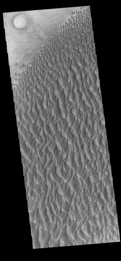 Proctor Crater Dunes