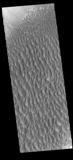 Proctor Crater Dunes