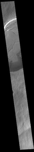 Olympus Mons