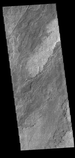 Daedalia Planum