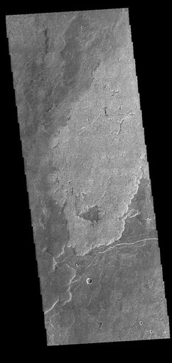 Daedalia Planum