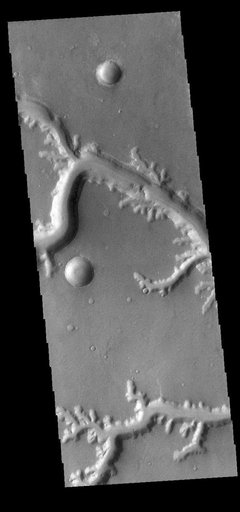 Nirgal Vallis