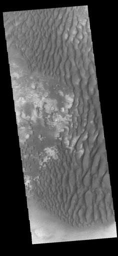 Kaiser Crater Dunes