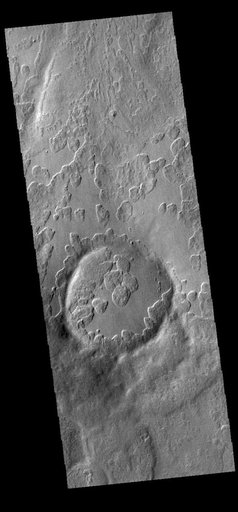 Peneus Patera