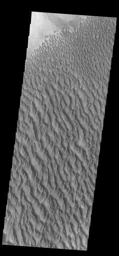 Proctor Crater Dunes
