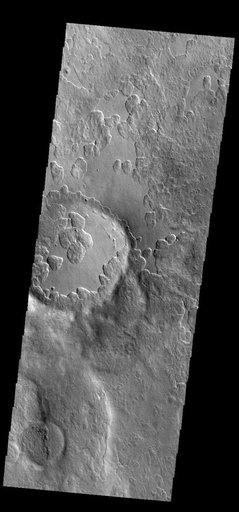 Peneus Patera