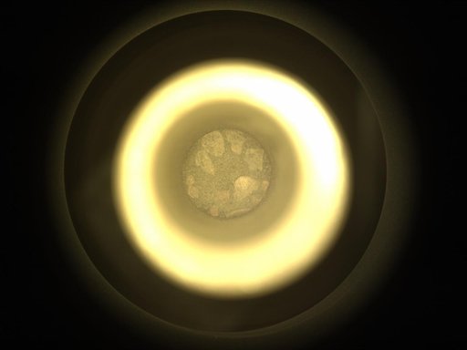 Perseverance's CacheCam Views a Regolith Sample