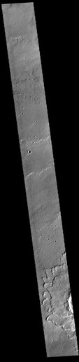 Daedalia Planum