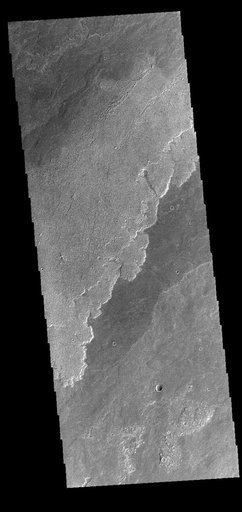 Daedalia Planum