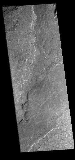 Daedalia Planum