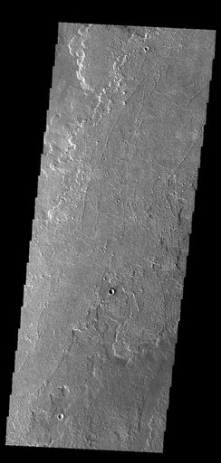 Daedalia Planum