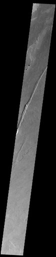 Daedalia Planum