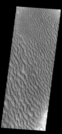 Proctor Crater Dunes