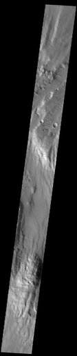 Fossae