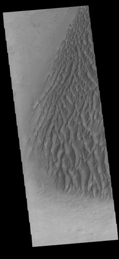 Proctor Crater Dunes