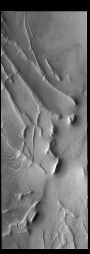 Angustus Labyrinthus