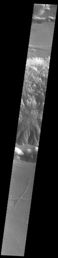 Ius Chasma