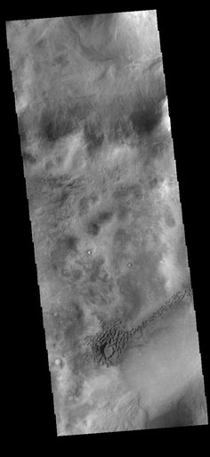 Nereidum Montes Dunes