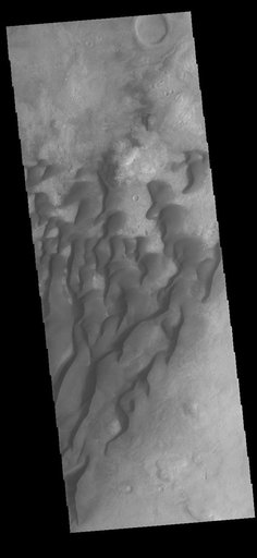Kaiser Crater Dunes