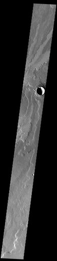 Daedalia Planum