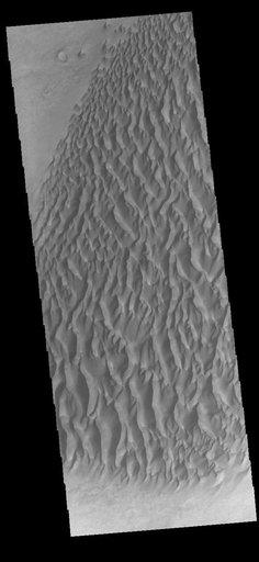 Proctor Crater Dunes