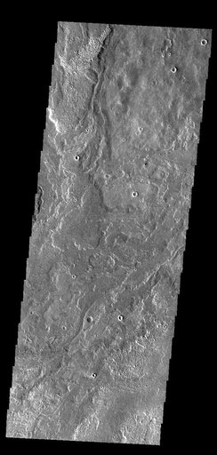 Daedalia Planum