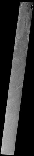 Daedalia Planum