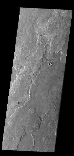 Daedalia Planum