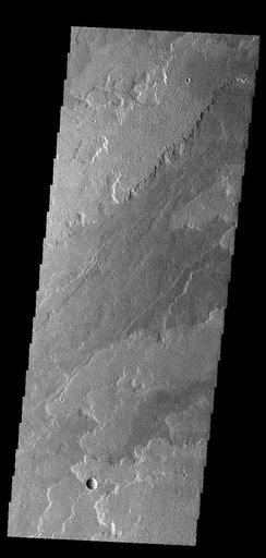 Daedalia Planum