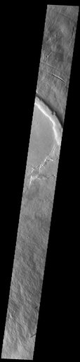 Pavonis Mons