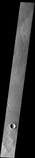 Daedalia Planum