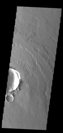 Daedalia Planum