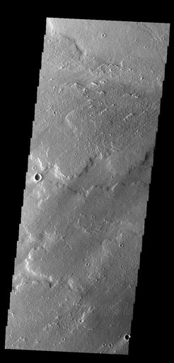 Daedalia Planum