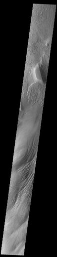 Eumenides Dorsum