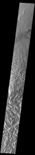 Lycus Sulci
