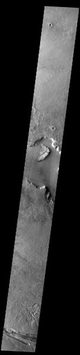 Elysium Fossae