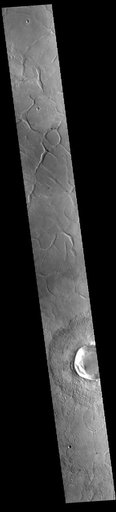 Adamas Labyrinthus