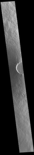 Elysium Mons