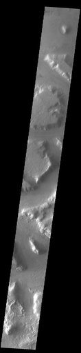 Protonilus Mensae