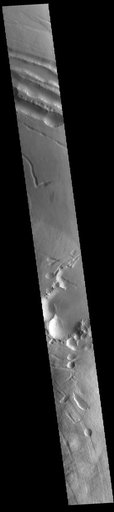 Pavonis Mons Flank