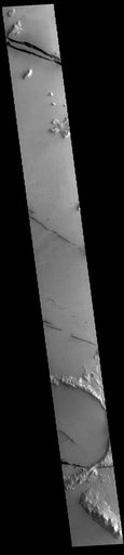 Cerberus Fossae