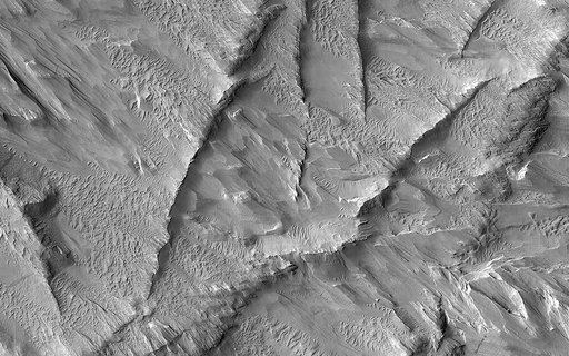 Ridges in Lycus Sulci