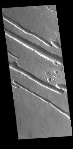 Elysium Fossae