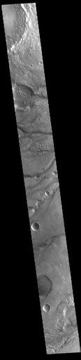 Maumee Valles