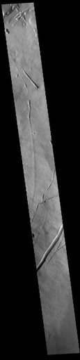 Pavonis Mons Flank