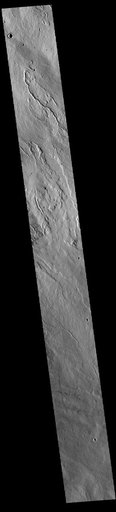 Rubicon Valles